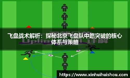 飞盘战术解析：探秘北京飞盘队中路突破的核心体系与策略